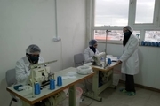 روزانه سه هزار ماسک توسط هنرمندان صنایع‌دستی کرمانشاه تولید می‌شود