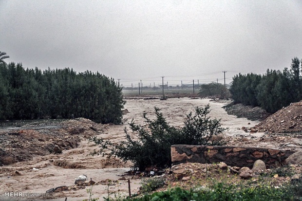 باران سیل آسا جاده 40 روستای دیشموک را قطع کرد
