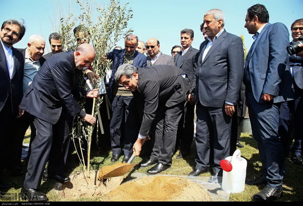 درخت صلح و دوستی در پایتخت ایران کاشته شد