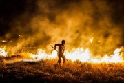یک هکتار از مزارع گندم فلارد لردگان در آتش سوخت
