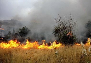 آتش مراتع جوزک خراسان شمالی مهار شد