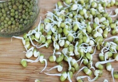 دانه ای کوچک سرشار از ویتامین و پروتئین
