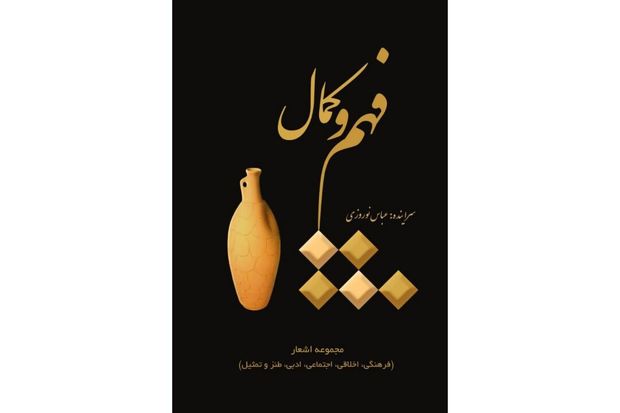 مروری بر کتاب شعر «فهم و کمال»