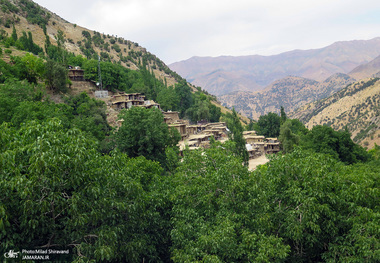 فیلم/ نامه یک نوجوان به آذری جهرمی