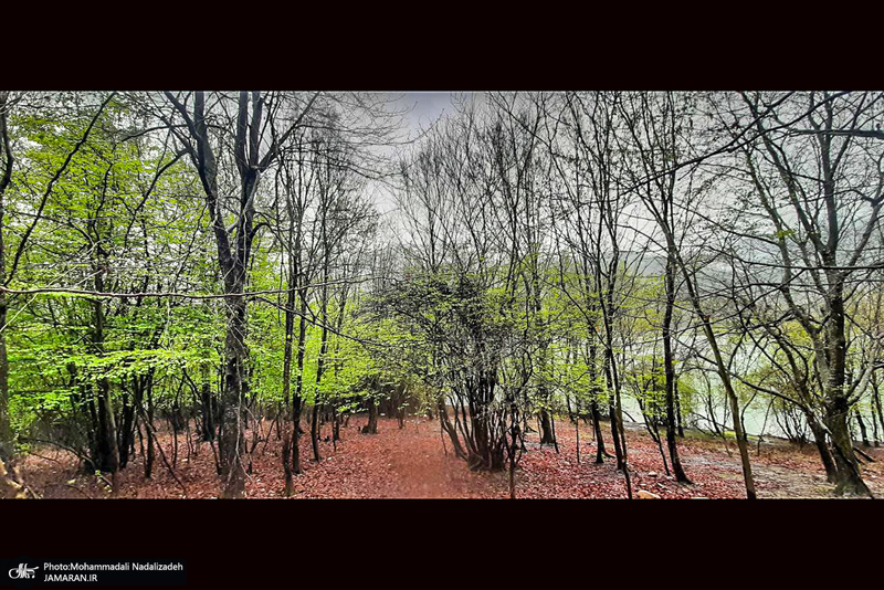 دریاچه آویدر نوشهر