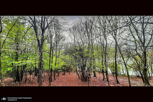 دریاچه آویدر نوشهر