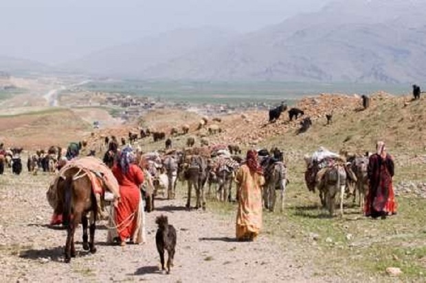 2500 خانوار عشایری کهگیلویه به مناطق ییلاقی کوچ کردند