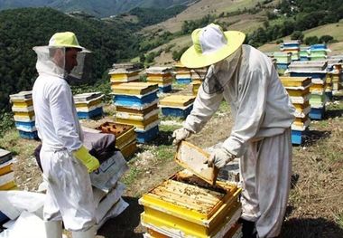 ۳۶۰ میلیارد ریال تسهیلات مشاغل روستایی چهارمحال و بختیاری پرداخت شد