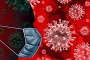 شایعه قرنطینه یک مبتلا به ویروس کرونا در بیمارستان گناوه صحت ندارد