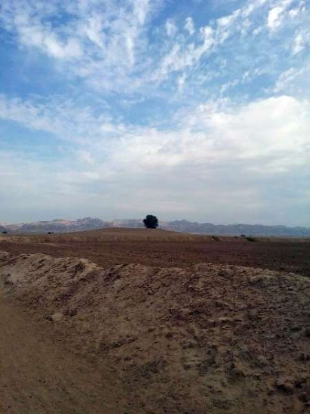 فصل نخست کاوش و گمانه زنی تپه تل سوزو در استان بوشهر آغاز شد