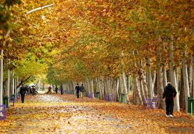 مسابقه عکس پاییز شمیران برگزار می شود