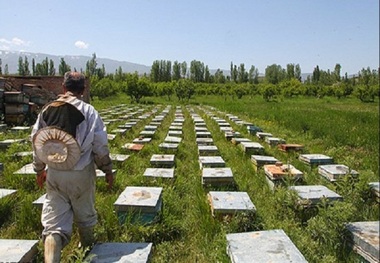 سه طرح اشتغالزایی در شهرستان جوانرود تصویب شد