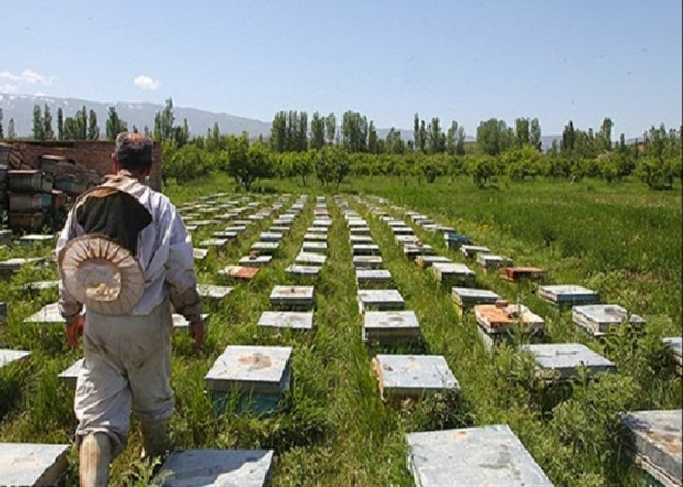 سه طرح اشتغالزایی در شهرستان جوانرود تصویب شد