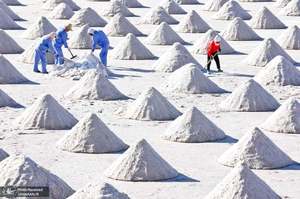 منتخب تصاویر امروز جهان- 3 شهریور 1400