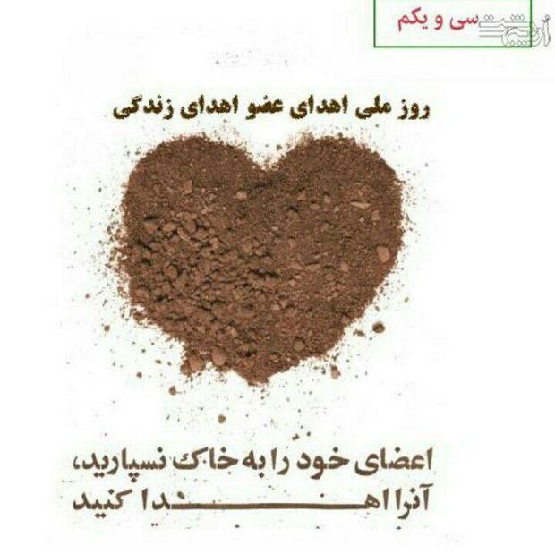 اهدای عضو، آخرین نت موسیقی زندگی یک هنرمند