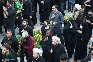 مراسم عزاداری شهادت حضرت علی(ع) با حضور آیت الله العظمی وحید خراسانی