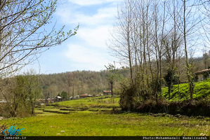 طبیعت رویایی ماسال گیلان