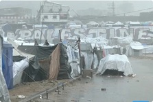 جهان عرب را سیل برد