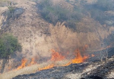 آتش سوزی دوباره درپارک ملی پابند نکا  بالگردمهار آتش به محل اعزام شد