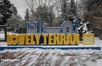 بهترین عکس ها از روز برفی تهران (12)