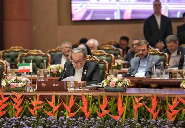 عراقچی: در عصر یکجانبه گرایی همکاری تنها راه نجات است