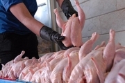 ۳۵۰ تن گوشت مرغ از مرغداران خراسانی خریداری شد