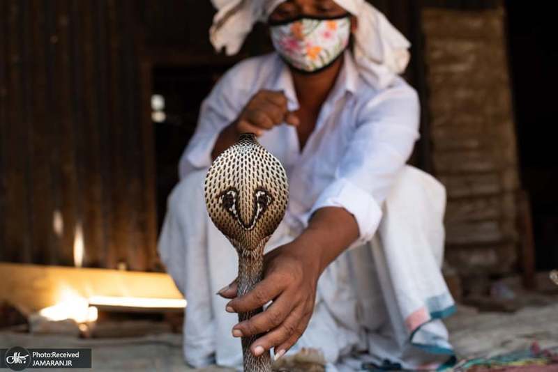 منتخب تصاویر امروز جهان- 6 اردیبهشت 1400