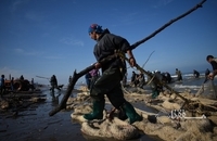 تورهای پاره، سهم صیادان از ماهیگیری پس از سیل در مازندران (7)