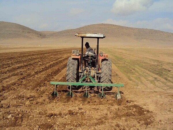 ۱۲۰ هزار تن گندم در چهارمحال و بختیاری تولید می شود