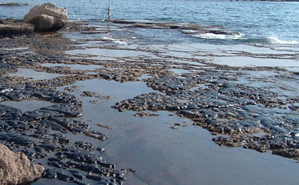 وضعیت زیست محیطی دریای خزر اسفناک است