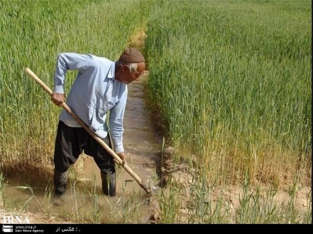 مهلت پرداخت حق بیمه کشاورزان و عشایر یزد تمدید شد