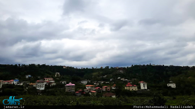 روستای سلیم آباد تنکابن؛ اینجا همه چیز سبز است