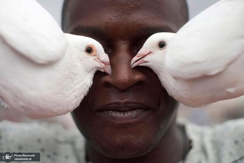 منتخب تصاویر امروز جهان-7 خرداد 1400