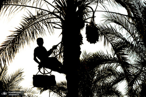 منتخب تصاویر امروز جهان- 1 مهر