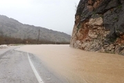 بارش باران باعث تخریب یک دهنه پل و جاده روستایی در کرمانشاه شد