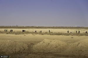 راهپیمایی اربعین 1401 - 2
