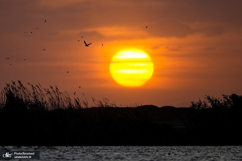منتخب تصاویر امروز جهان- 18 اردیبهشت 1400