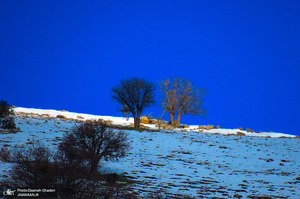 روستای سفیدآب پاوه