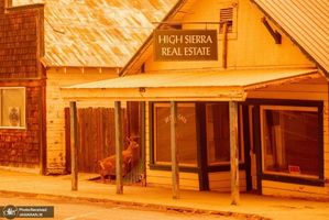 منتخب تصاویر امروز جهان- 6 مرداد 1400