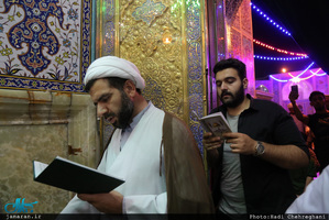 حال و هوای حرم کریمه اهل بیت(ع) در شب میلاد امام رضا(ع)