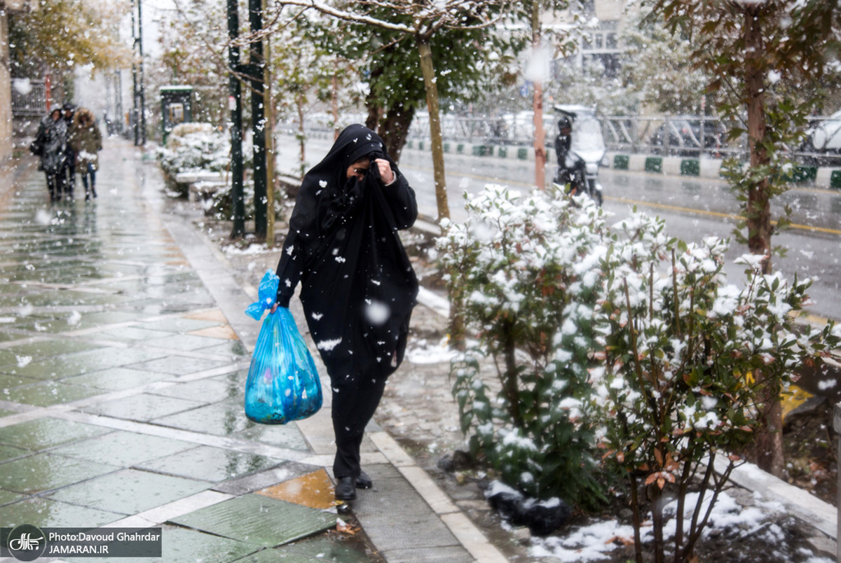 بارش برف و باران در 15 استان
