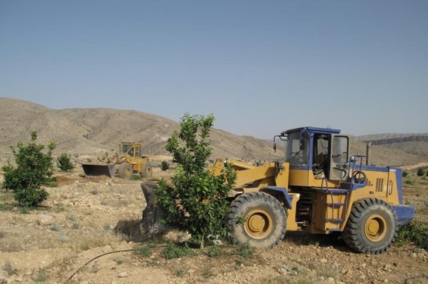 اجرای حکم قلع و قمع درختان غیرمجاز در فیروزآباد