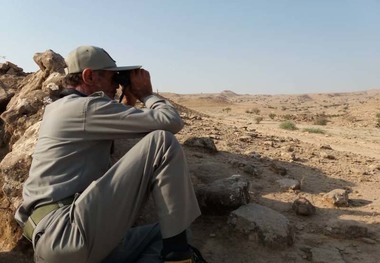 سرشماری پاییزه حیات وحش در منطقه کرایی شوشتر انجام شد