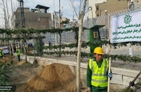 photo_2019-02-25_20-10-58