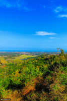 طبیعت روستای بزکویه