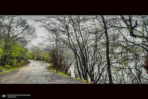 دریاچه آویدر نوشهر