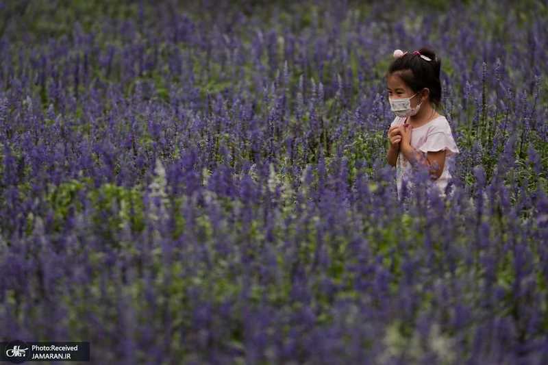 منتخب تصاویر امروز جهان- 21 تیر