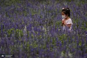 منتخب تصاویر امروز جهان- 21 تیر