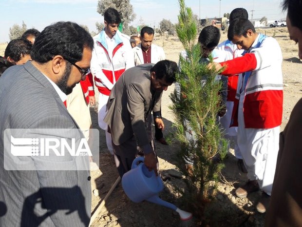 ترویج فرهنگ نهال کاری نیازمند مشارکت عمومی است