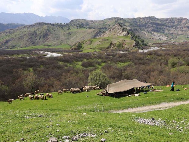 کوچ عشایر اندیکا به سمت مناطق نیمه ییلاقی آغاز شد